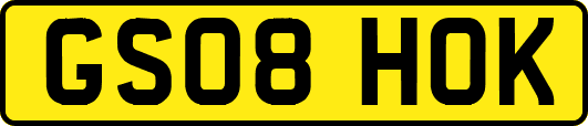 GS08HOK