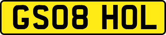GS08HOL