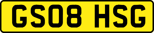 GS08HSG