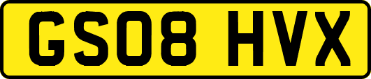 GS08HVX
