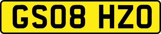 GS08HZO