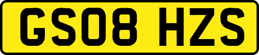 GS08HZS