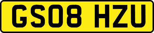 GS08HZU