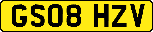 GS08HZV