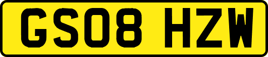 GS08HZW