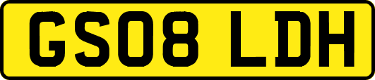 GS08LDH