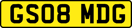 GS08MDG