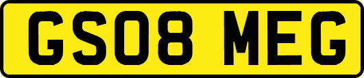 GS08MEG