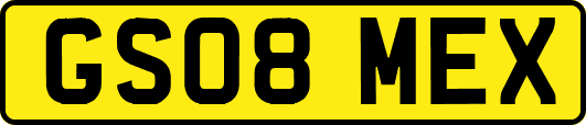 GS08MEX