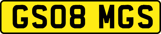 GS08MGS