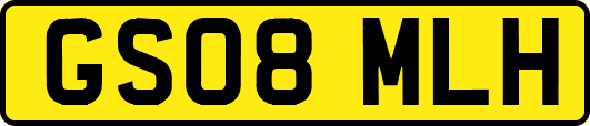 GS08MLH