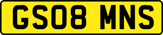 GS08MNS