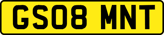 GS08MNT