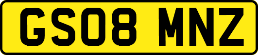 GS08MNZ