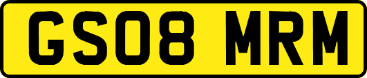 GS08MRM