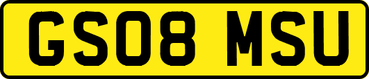 GS08MSU