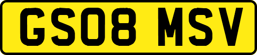 GS08MSV