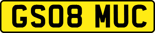 GS08MUC