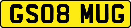 GS08MUG