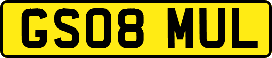 GS08MUL