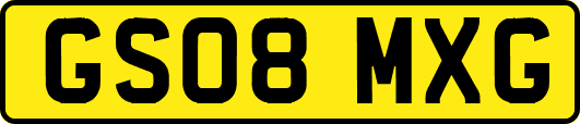 GS08MXG
