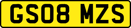 GS08MZS