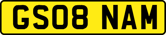 GS08NAM