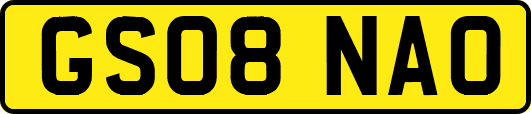 GS08NAO