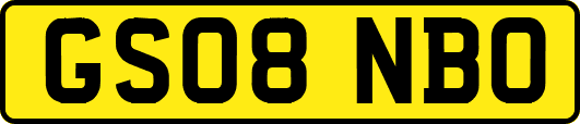 GS08NBO