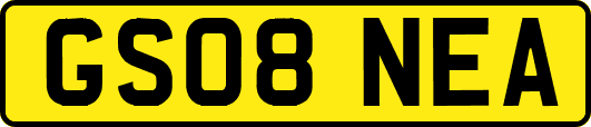 GS08NEA