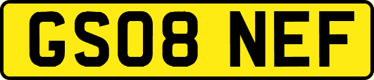 GS08NEF