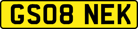 GS08NEK