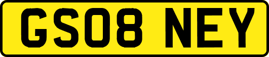 GS08NEY