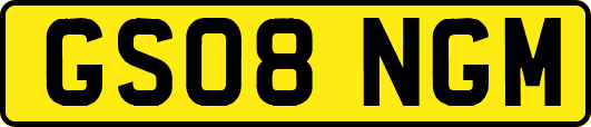 GS08NGM