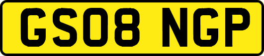 GS08NGP