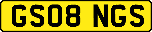 GS08NGS