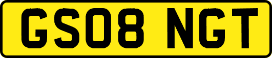 GS08NGT