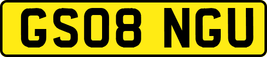 GS08NGU