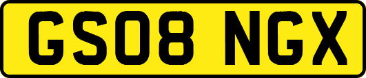 GS08NGX
