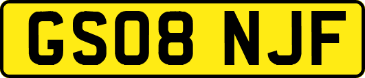 GS08NJF