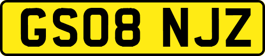GS08NJZ