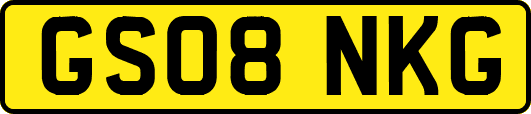 GS08NKG