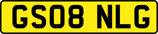 GS08NLG