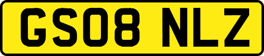 GS08NLZ