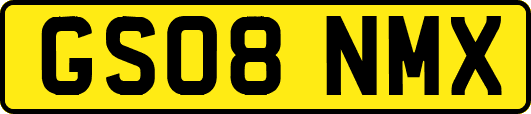 GS08NMX