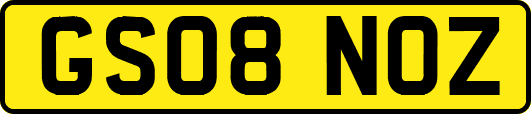 GS08NOZ