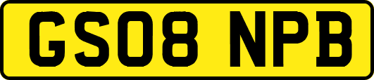 GS08NPB