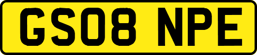 GS08NPE