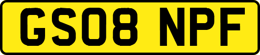 GS08NPF