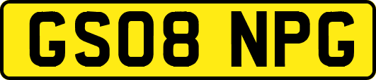 GS08NPG